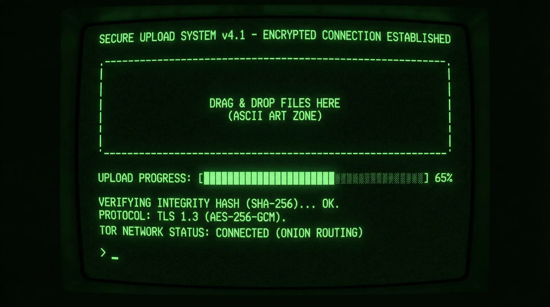 九一视频 安全加密上传系统界面截图